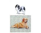 Japanese Chin Glass Cutting Board