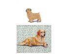 Norfolk Terrier Glass Cutting Board