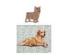 Norwich Terrier Glass Cutting Board