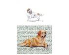 Petite Basset Griffon Vendeen Glass Cutting Board