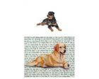 Rottweiler Glass Cutting Board