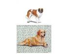 Saint Bernard Glass Cutting Board