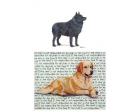 Schipperke Glass Cutting Board