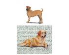 Shar-Pei Glass Cutting Board