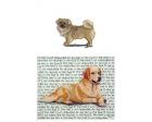 Tibetan Spaniel Glass Cutting Board