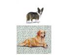 Welsh Corgi Glass Cutting Board (Cardigan)