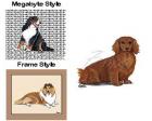 Dachshund Mouse Pad (Longhair, Red)