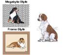 Welsh Springer Spaniel Mouse Pad