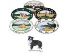 Border Collie Oval Platter