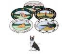 Boston Terrier Oval Platter