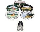 Cavalier King Charles Oval Platter (Tri)