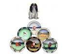 Cavalier King Charles Earthenware Rim Bowl (Tri)