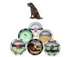 Labrador Retriever Earthenware Rim Bowl (Chocolate, Sitting)