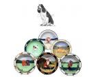 Springer Spaniel Earthenware Rim Bowl (Black and White)