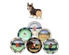 Wesh Corgi Earthenware Rim Bowl (Tri)