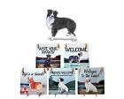 Border Collie Hanging Tile