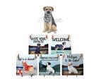 Border Terrier Hanging Tile