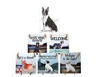 Boston Terrier Hanging Tile