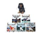 Cavalier King Charles Hanging Tile (Black and Tan)