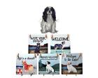 Cavalier King Charles Hanging Tile (Tri)