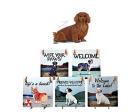 Dachshund Hanging Tile (Longhair, Red)