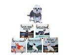 Dandie Dinmont Terrier Hanging Tile