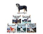 Greater Swiss Mountain Dog Hanging Tile