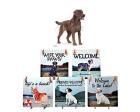 Labrador Retriever Hanging Tile (Chocolate)