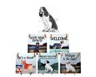 Springer Spaniel Hanging Tile (Black and White)