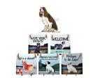 Springer Spaniel Hanging Tile (Liver and White)