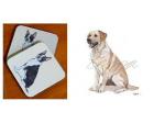 Labrador, Yellow - Coasters