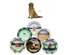 Golden Retriever Earthenware Rim Bowl (Sitting)