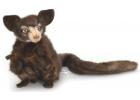 Aye-Aye Gifts and Collectibles at Noah's Animal Figurines