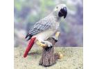African Grey Figurines and Gifts