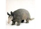 Armadillo