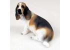 Basset Hound