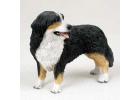 Bernese Mountain Dog