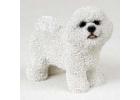 Bichon Frise