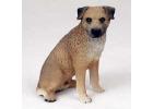 Border Terrier