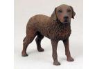 Chesapeake Bay Retriever