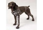 German Shorthaired Pointer