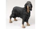 Gordon Setter