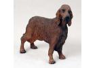 Irish Setter