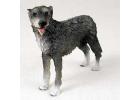 Irish Wolfhound