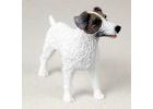 Jack Russell Terrier