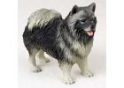 Keeshond