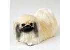 Pekingese