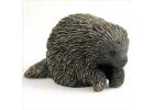 Porcupine