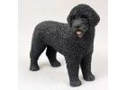 Portuguese Water Dog