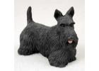 Scottish Terrier